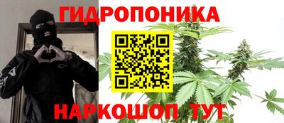 гашик Пугачёв