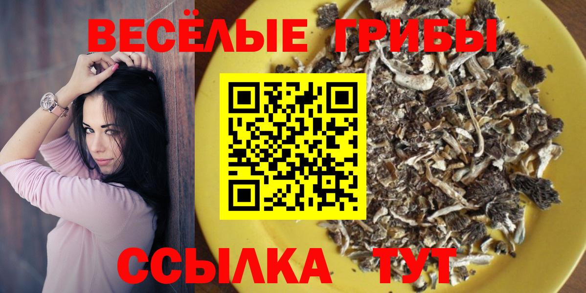 Галлюциногенные грибы прущие грибы  Вход с VPN  Псилоцибиновые грибы ЛСД  Серпухов 
