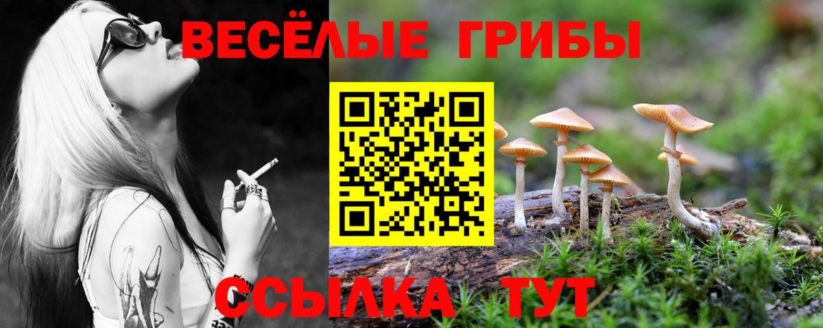 Cocaine  Серпухов  Бошки Шишки  Меф МЯУ МЯУ   Гашиш  Вход с VPN  Кодеин 